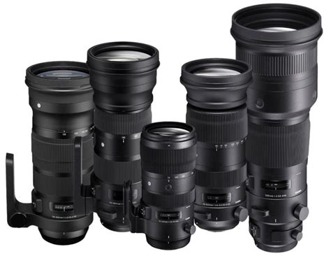 What is a Zoom Lens? Why and When to Choose a Zoom Lens? | SIGMA Blog