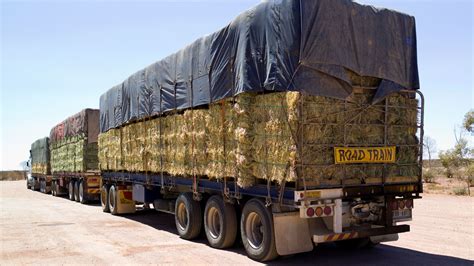 NSW truck driver fined over hay bale size