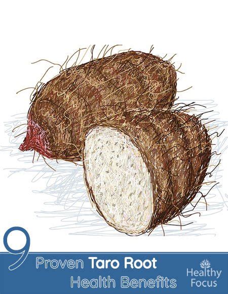 8 Proven Taro Root Health Benefits - Healthy Focus