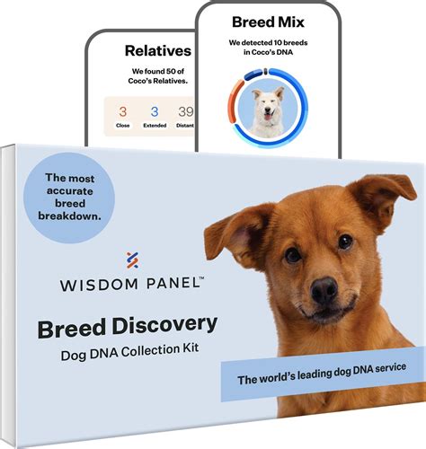 WISDOM PANEL 3.0 Breed Identification Dog DNA Test Kit - Chewy.com