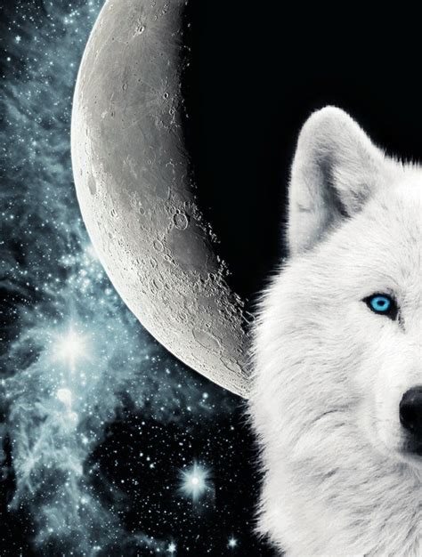 Related image | Wolf moon, Wolf howling, Wolf