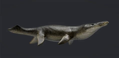 Kronosaurus by Manuelsaurus on DeviantArt