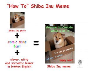 Shiba Inu Meme - What Is A Doge Exactly? - My First Shiba Inu