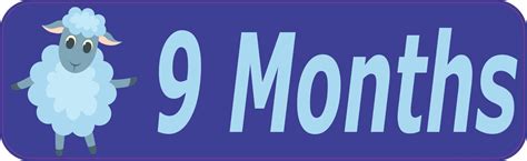 10in x 3in 9 Month Magnet Boy Door Magnetic Sign Magnets Signs