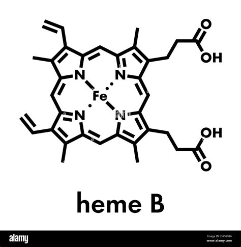 Myoglobin structure Black and White Stock Photos & Images - Alamy