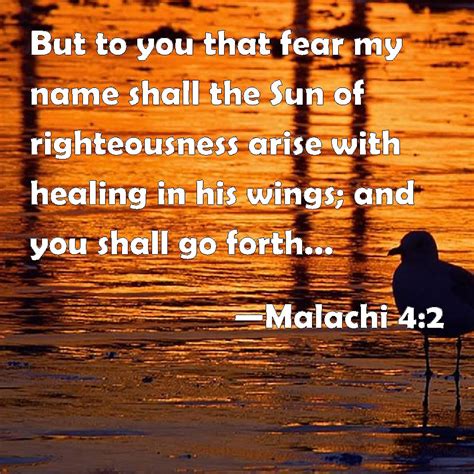 Malachi 4:2 But to you that fear my name shall the Sun of righteousness arise with healing in ...