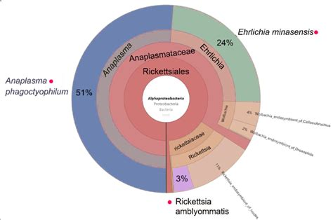 Hierarchical classification and distribution of various species... | Download Scientific Diagram