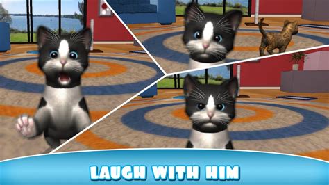 Daily Kitten virtual cat pet Android İos Free Game GAMEPLAY VİDEO - YouTube