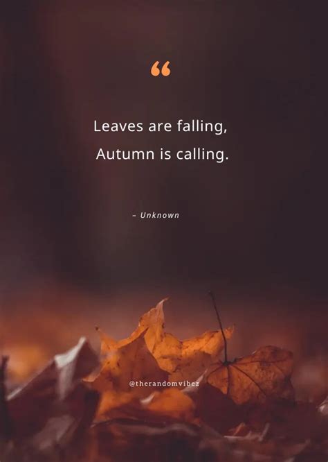 80 Fall Leaves Quotes For The Beautiful Autumn Season – The Random Vibez