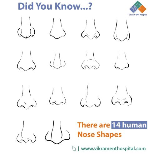 #DidYouKnow Which shape of #nose is yours? Abraham Tamir, an Israeli ...