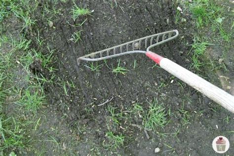 tips for reseeding the lawn Little Garden, Lawn And Garden, Garden Tools, Outdoor Landscaping ...