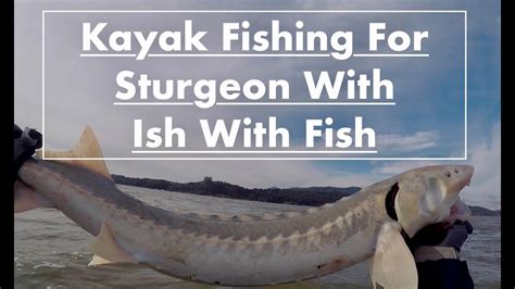 Kayak Fishing for Sturgeon with Ish with Fish (San Pablo Bay) - YouTube