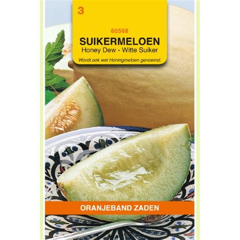 Honey Dew melon seeds - Melon Vegetable seeds • Tuinzaden.eu