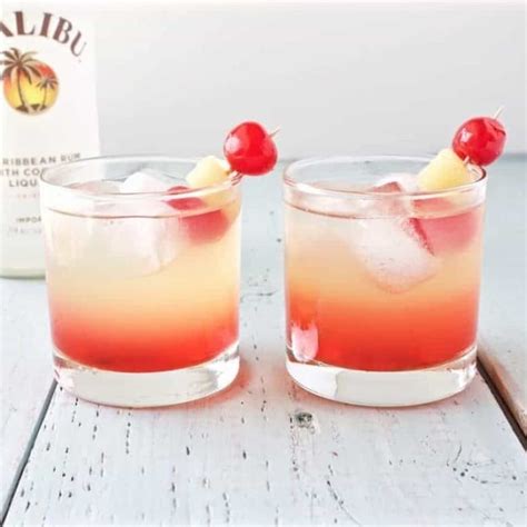 Easy Malibu Rum Drink Recipes | Besto Blog