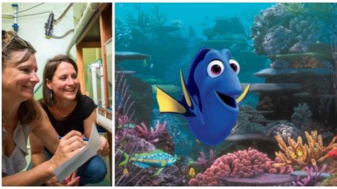 Scientist worries Finding Nemo sequel could endanger real blue tang fish | CBC Radio