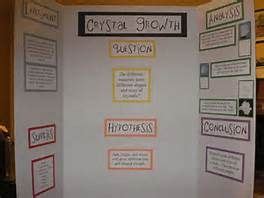 salt crystal science project display boards - Yahoo Image Search Results | Cool science fair ...