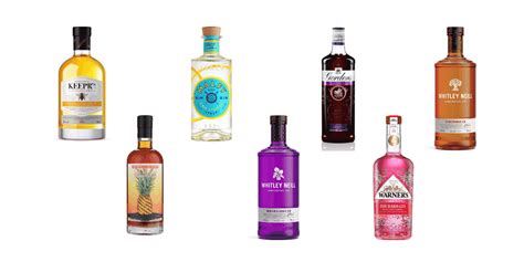 10 Best Flavoured Gins 2022 (From Blood Orange To Parma Violet)