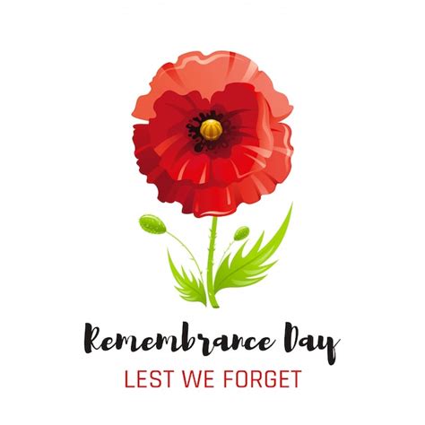 Premium Vector | Red poppy flower symbol, remembrance day poster ...