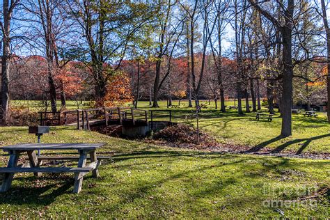 Keuka Lake State Park Photograph by William Norton