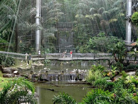 Kuala Lumpur Bird Park, Kuala Lumpur