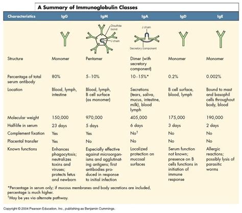 5 Types Of Antibodies