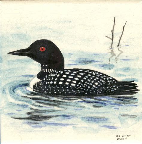 Arctic Loon Painting by Dy Witt