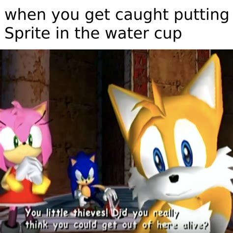 Its time for Sonic Adventure 2 Memes : r/dankmemes