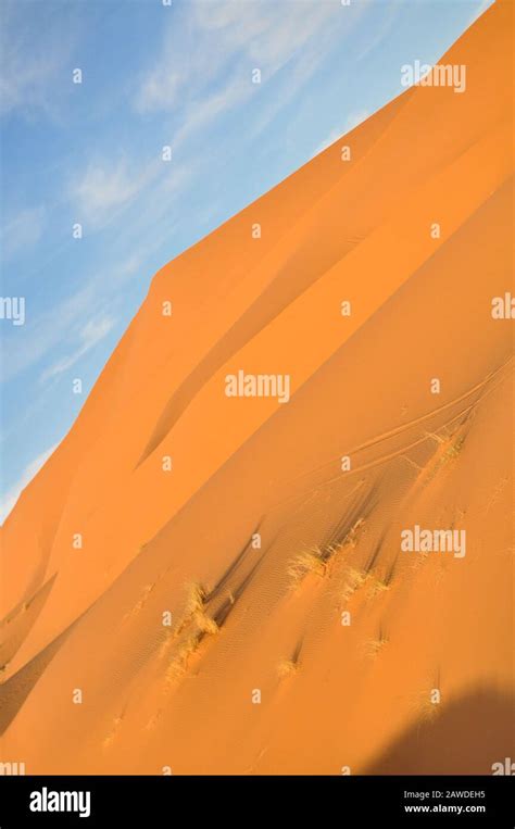 Sahara Desert, Morocco Stock Photo - Alamy