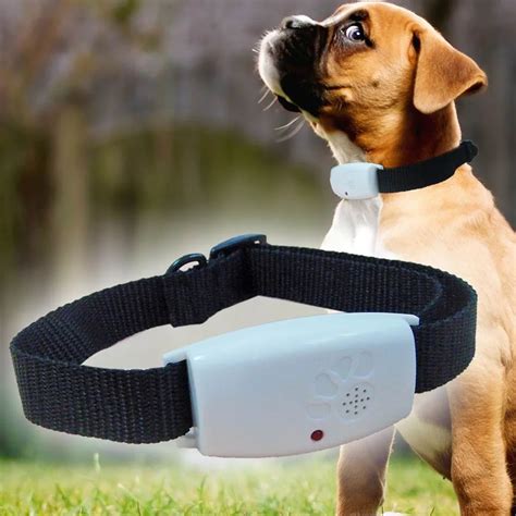 Ultrasonic Adjustable Dog Collar Anti Flea & Tick Pest Lice Electronic ...