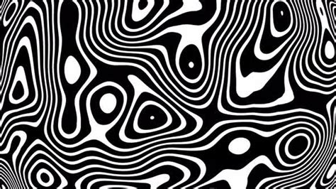 Black and white wavy lines, Motion Graphics | VideoHive