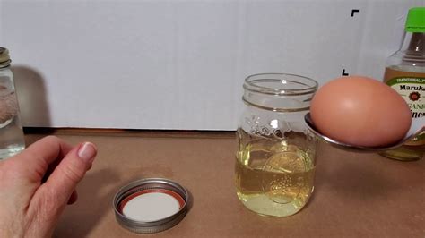 Egg Osmosis Lab Experiment