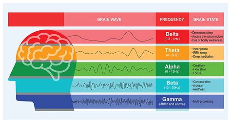 What Research Says About Brain Wave Frequencies- Zen Virtuoso