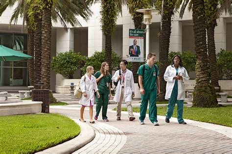 University Of Miami Veterinary School - CollegeLearners.org