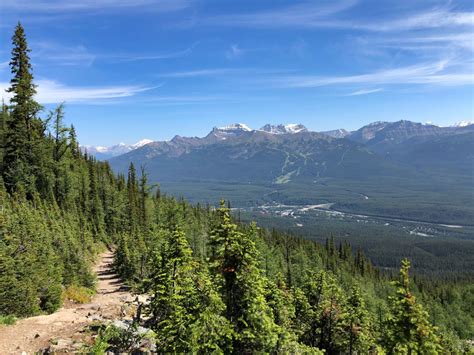 Hiking Fairview Mountain: Lake Louise, Alberta - This Adventure Life