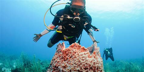 Barrier Reef of Belize, World Heritage of UNESCO