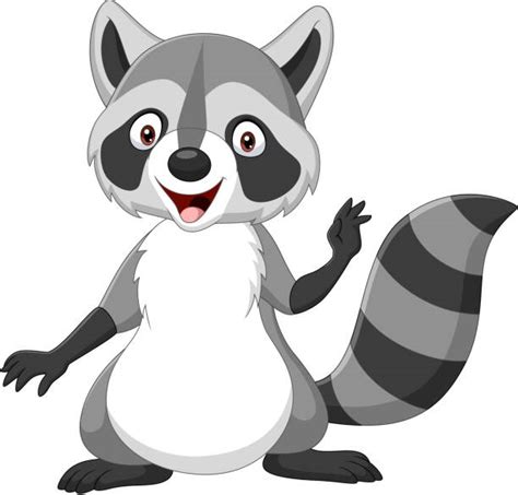 Raccoon Face Black And White Clipart