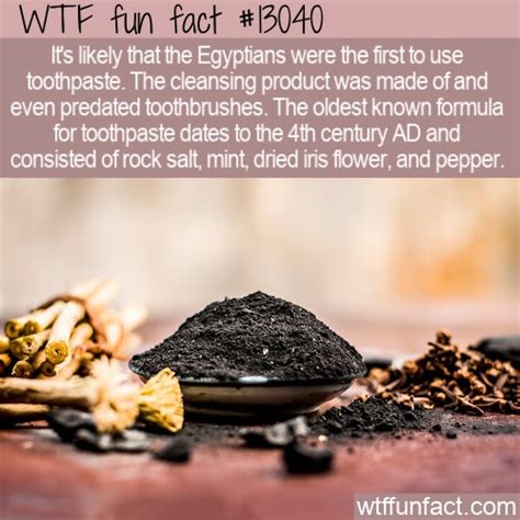 WTF Fun Fact 13040 - The Oldest Toothpaste - ReportWire