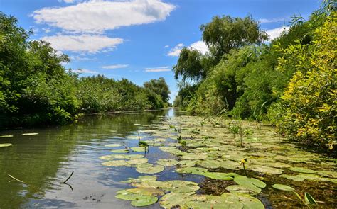 The Danube Delta - Crafted Tours Romania