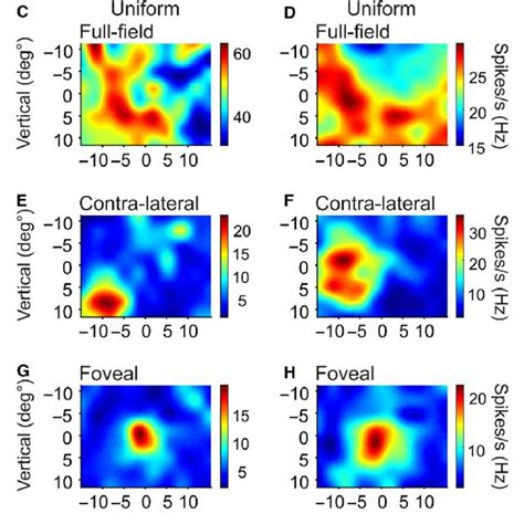 Characterisation of RF types. Examples of receptive field types from ...