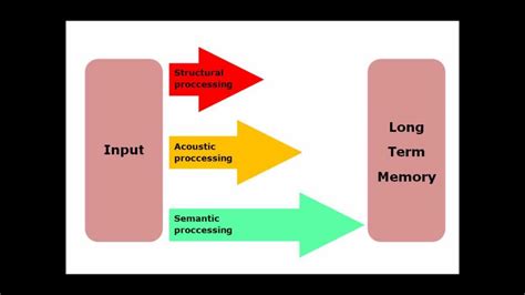 Levels of processing.wmv - YouTube