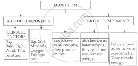 Complete the flow chart: ECOSYSTEM 1. ABIOTIC COMPONENTS 2. BIOTIC COMPONENTS - Science and ...