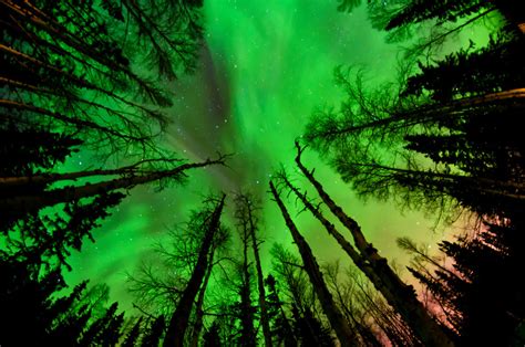 green sky of alaska photo | One Big Photo