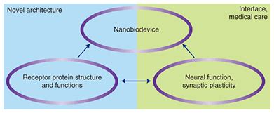 Nanobiotechnology Research at NTT | NTT Technical Review