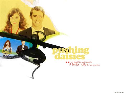 Pushing Daisies - Television Wallpaper (850404) - Fanpop