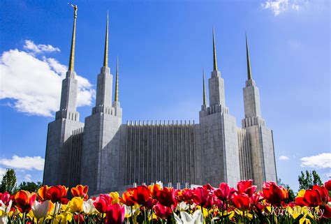 Seen the DC Temple. Beautiful. Mormon Temples, Lds Temples, Temple Gardens, Latter Day Saints ...