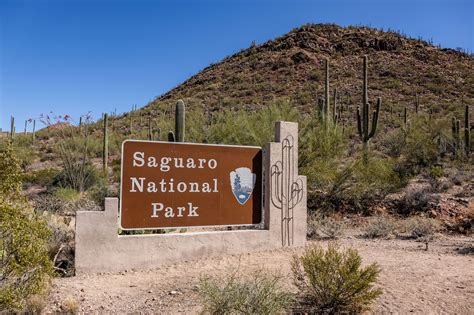 Saguaro National Park — The Greatest American Road Trip