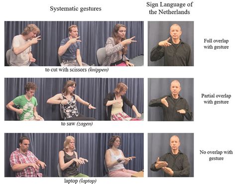 The role of gesture in the acquisition of a sign language as a second language - University of ...