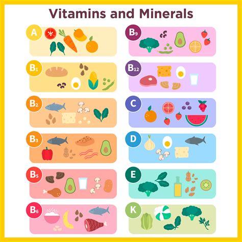 Vitamin And Mineral Chart - 10 Free PDF Printables | Printablee