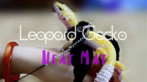 Leopard Gecko Temperature: 5 Best Heating Pad for Geckos