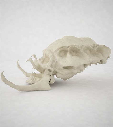 3D Predator Skull | CGTrader